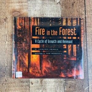 Fire In The Forest Children's Picture Book Hardcover Ecology Science Nature